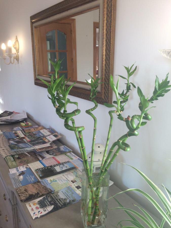 شقة Bonita Casa En Barrio De Monachil غرناطة المظهر الخارجي الصورة